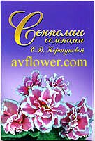 russian violets